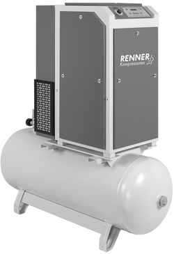 Винтовой компрессор Renner RSD-PRO 3.0/250-10